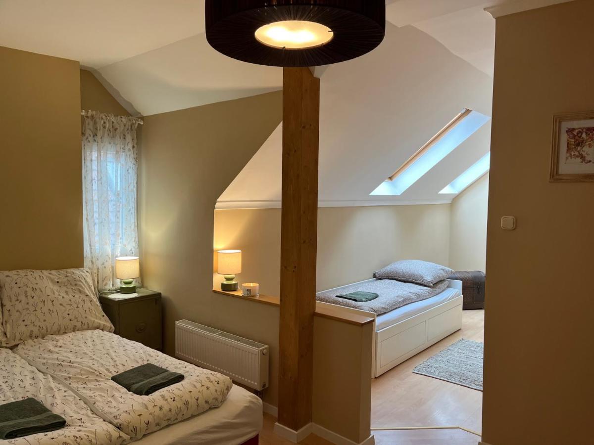Tulipan Villa Panzio Ζολνοκ Εξωτερικό φωτογραφία