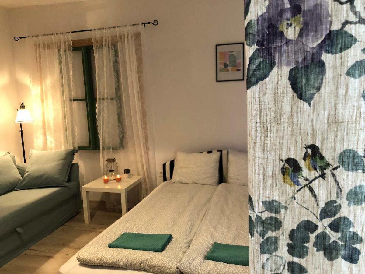Tulipan Villa Panzio Ζολνοκ Εξωτερικό φωτογραφία