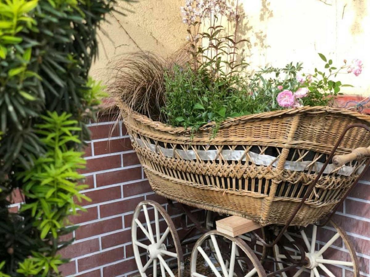 Tulipan Villa Panzio Ζολνοκ Εξωτερικό φωτογραφία